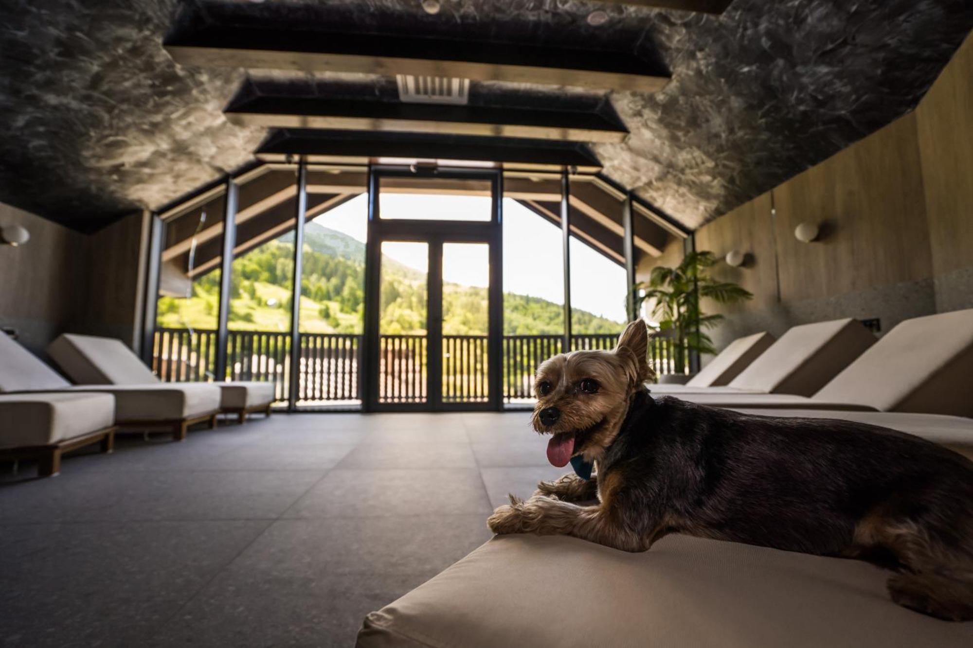 Hotel Roman Maramures - Ski & Spa Resort Statiunea Exterior foto